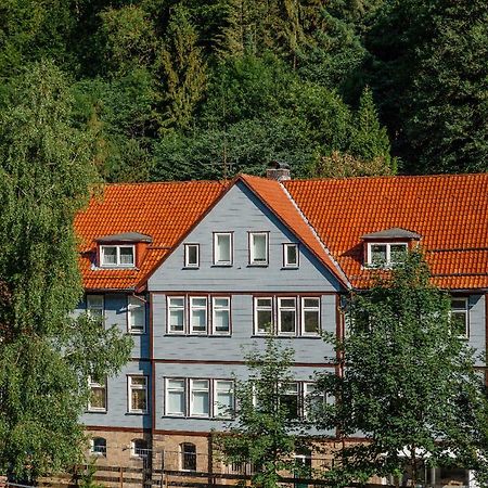 Fewo-Lerbachtal Osterode am Harz ภายนอก รูปภาพ