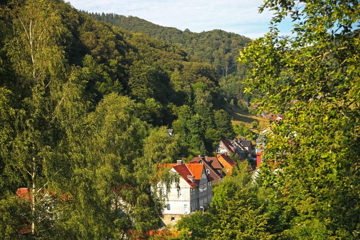 Fewo-Lerbachtal Osterode am Harz ภายนอก รูปภาพ