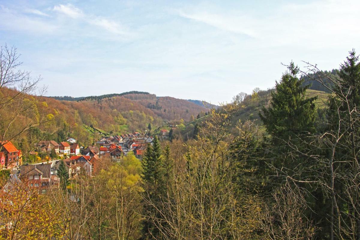 Fewo-Lerbachtal Osterode am Harz ภายนอก รูปภาพ