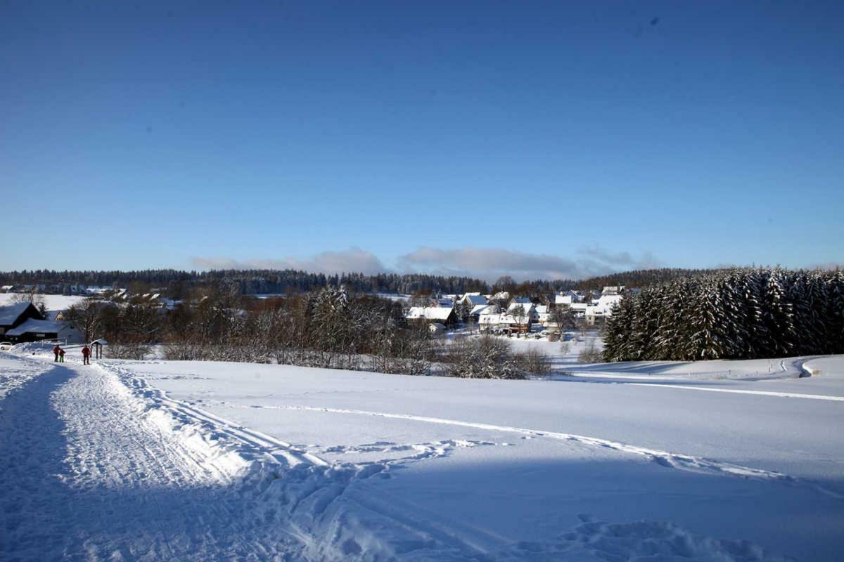 Fewo-Lerbachtal Osterode am Harz ภายนอก รูปภาพ